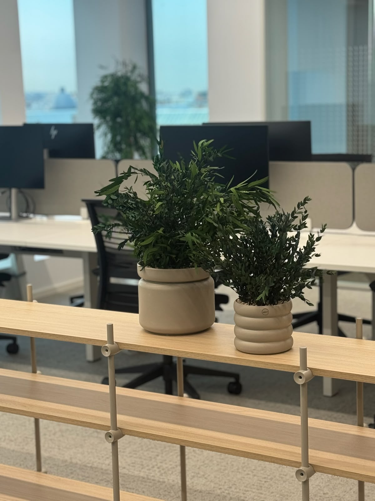 Jardinera de eucalipto y follaje preservado en una oficina