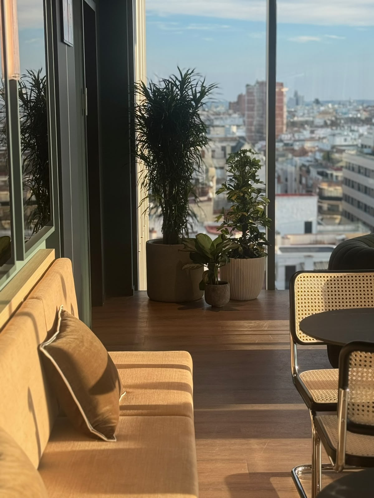 Jardinera de interior con helechos, aglaonemas y hiedra