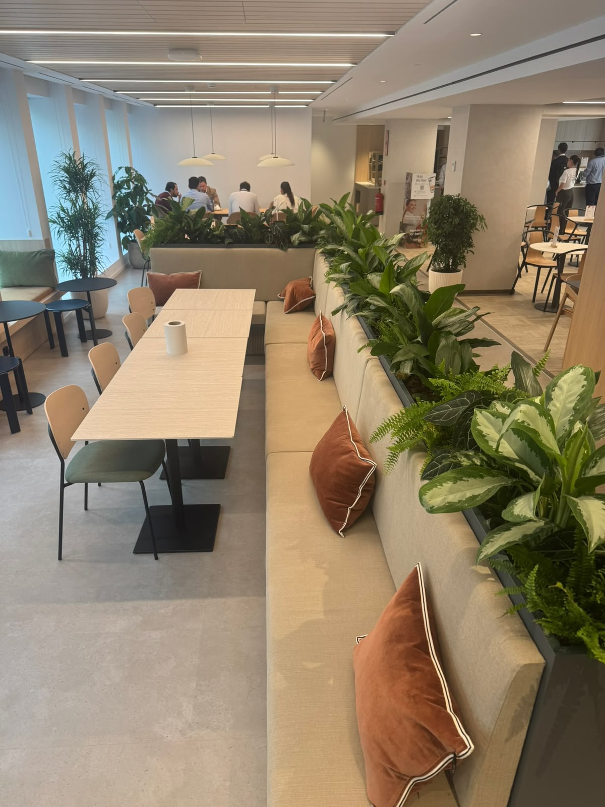 Comedor de oficina con jardinera integrada en el banco corrido